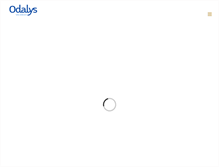 Tablet Screenshot of hotelbalneoaladin.com